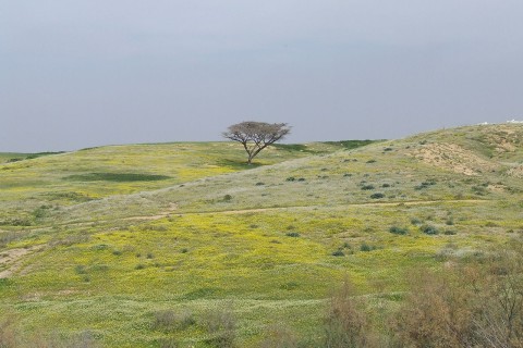 Kibbutz Be'eri