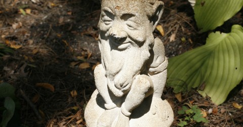 garden gnome 