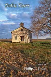 What does the Mississippi Delta sound like in verse? - Vimarsana News