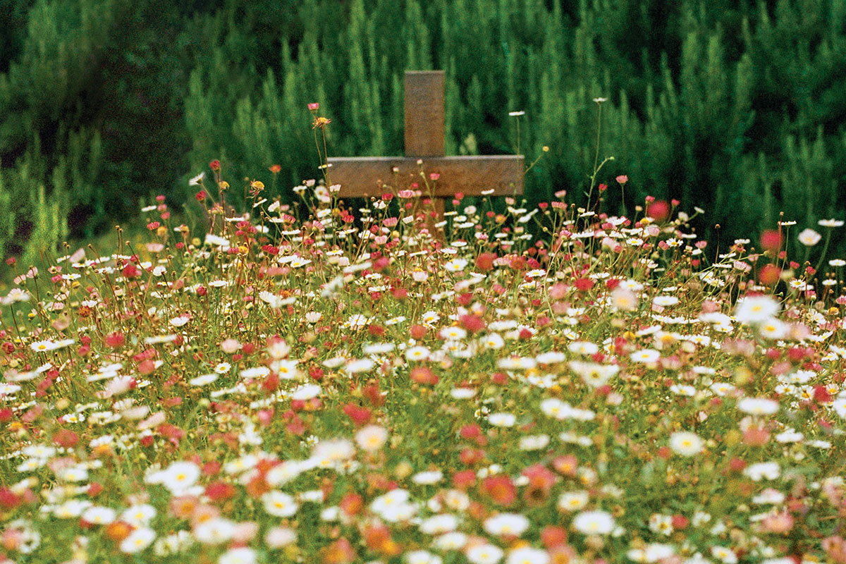 Green burial as an act of faith - Vimarsana News