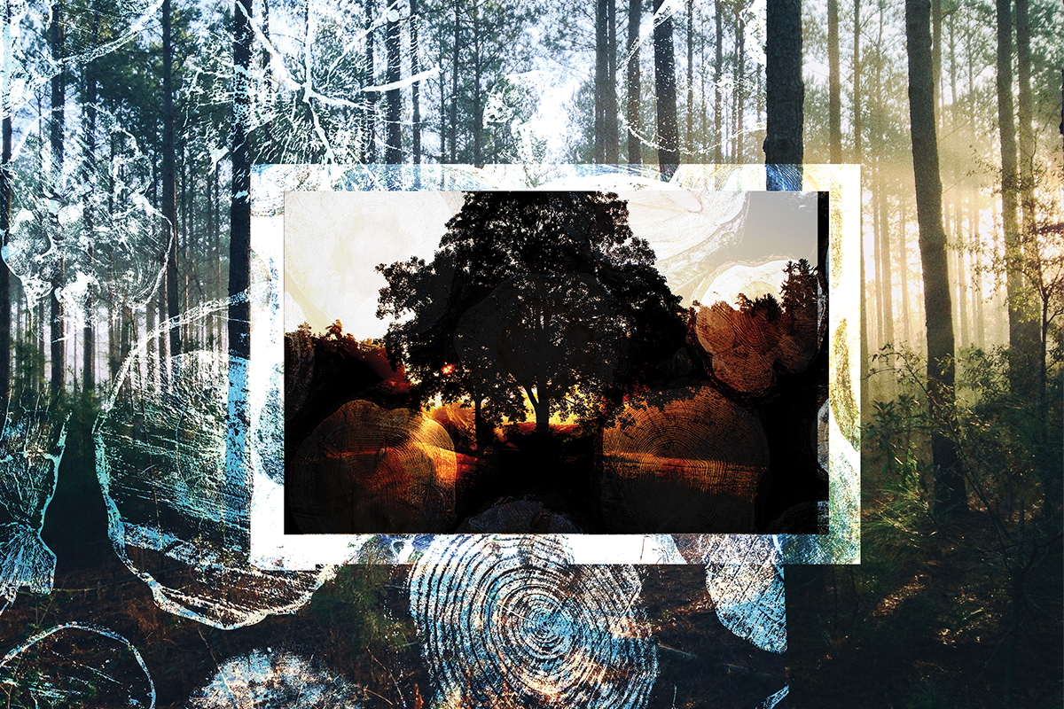 Image for twitter card