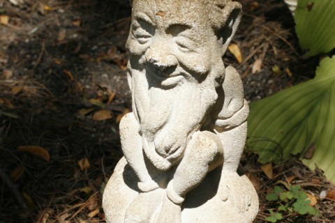garden gnome 