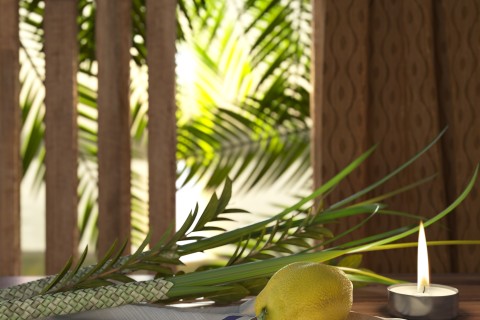 picture of sukkah with palm leaves for Sukkot