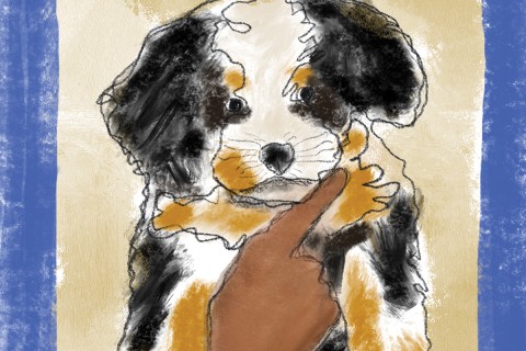 Illustration of hand holding up a puppy