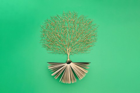 tree with an open book as the roots