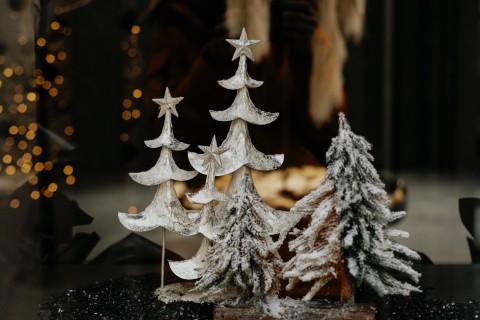 picture of Christmas trees