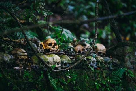 picture of skulls in Indonesia