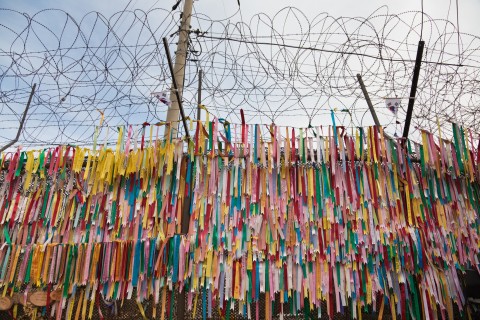 picture of Korean border fence