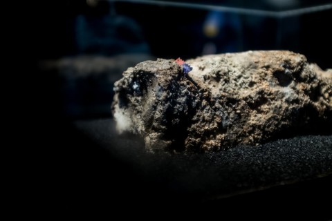 Fatberg at Museum of London