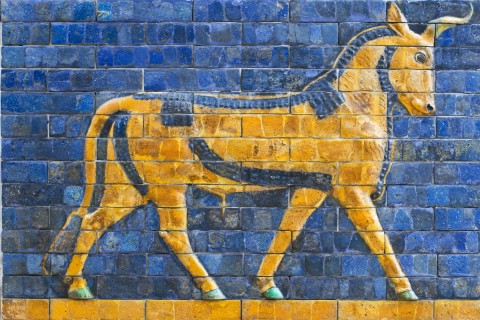 golden calf mosaic