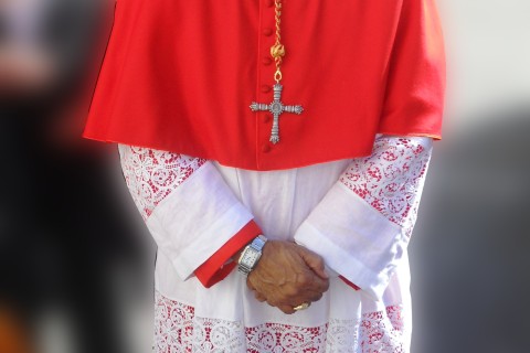 Cardinal Leopoldo Brenes