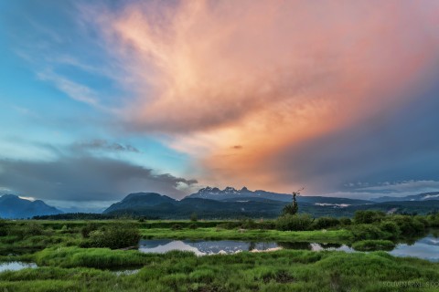 Marshes wetlands