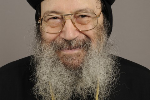 Metropolitan Bishoy