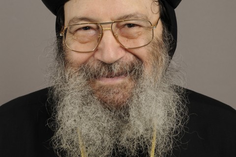 Metropolitan Bishoy