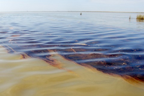 oil spill 