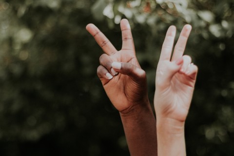 Two hands displaying peace signs