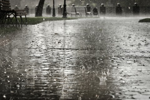 Rain and benches