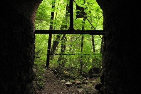 Tunnel in woods