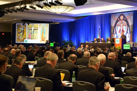 U.S. Catholic bishops