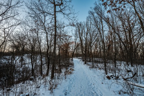 Walking in forest