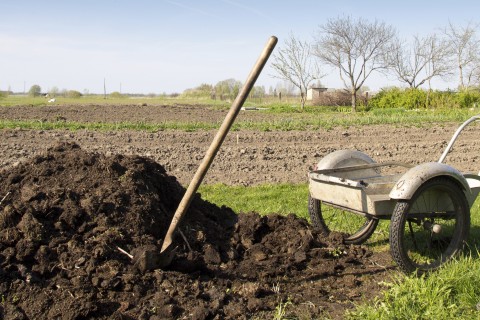 farm with compost