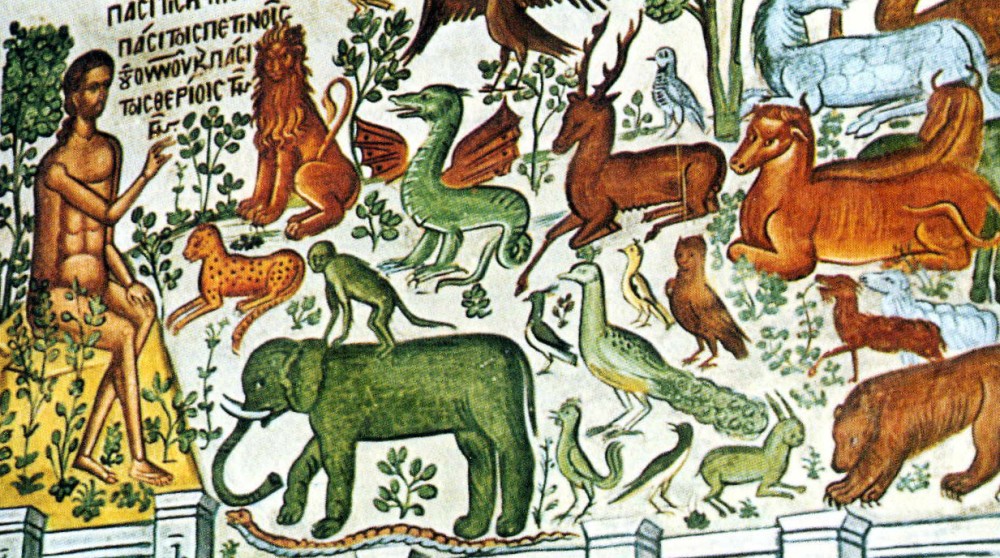 Adam naming animals