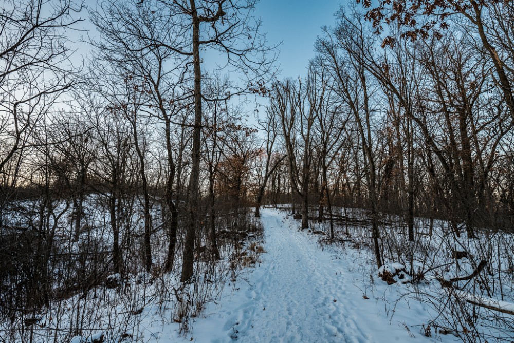 Walking in forest