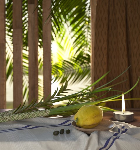 picture of sukkah with palm leaves for Sukkot