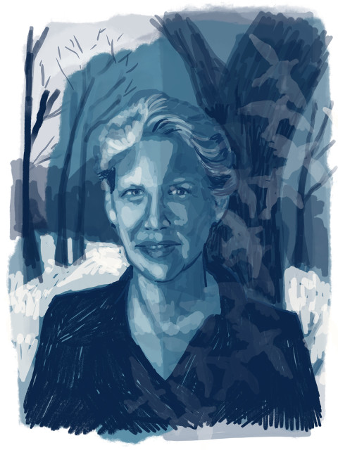 illustration of annie dillard in the woods