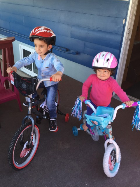 Syrian refugees Canada