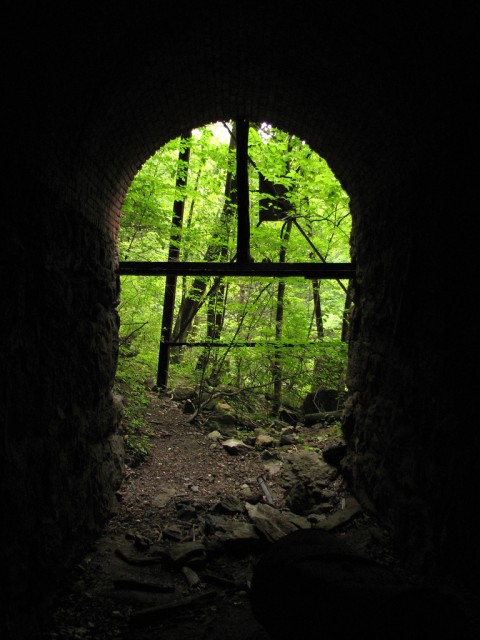 Tunnel in woods