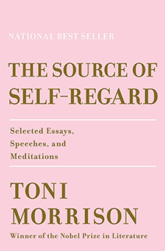 image of Toni Morrison essays on writing and race