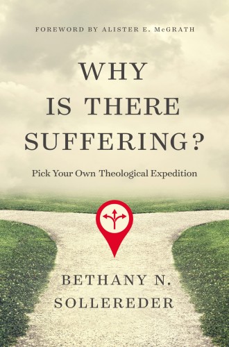 book cover "why is there suffering"