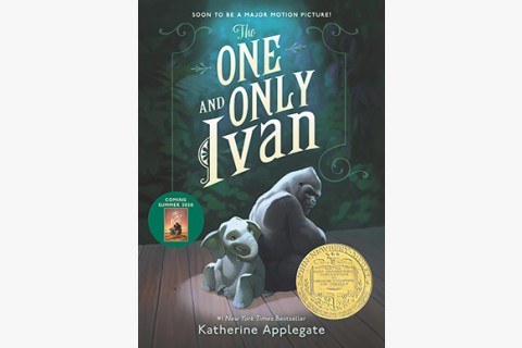 image of book cover