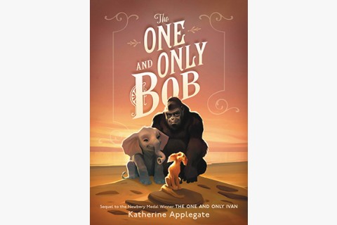image of book cover