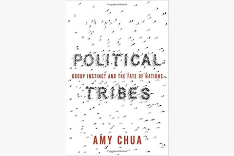 image of Amy Chua book on the causes and dangers of political tribalism