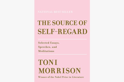 image of Toni Morrison essays on writing and race