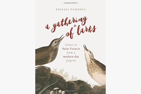 image of Abigail Carroll's book of poems to St. Francis