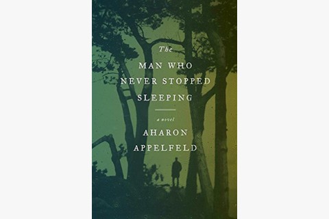 picture of Aharon Appelfeld's novel about a teenager's life in Israel after the Holocaust