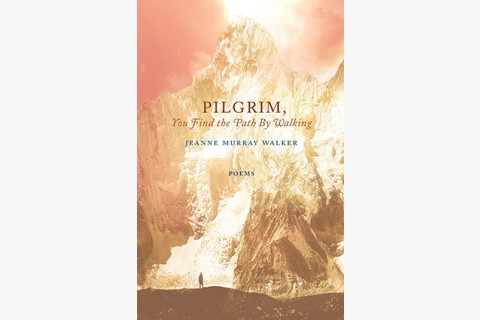 image of book cover