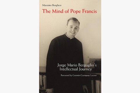 image of book on Pope Francis as theologian