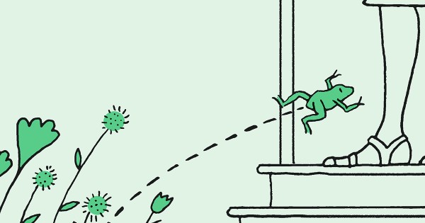 Reference Small Creatures Small creatures | The Christian Century