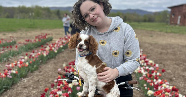 Facebook group helps women find healing after alleged abuse at Baptist counseling facility