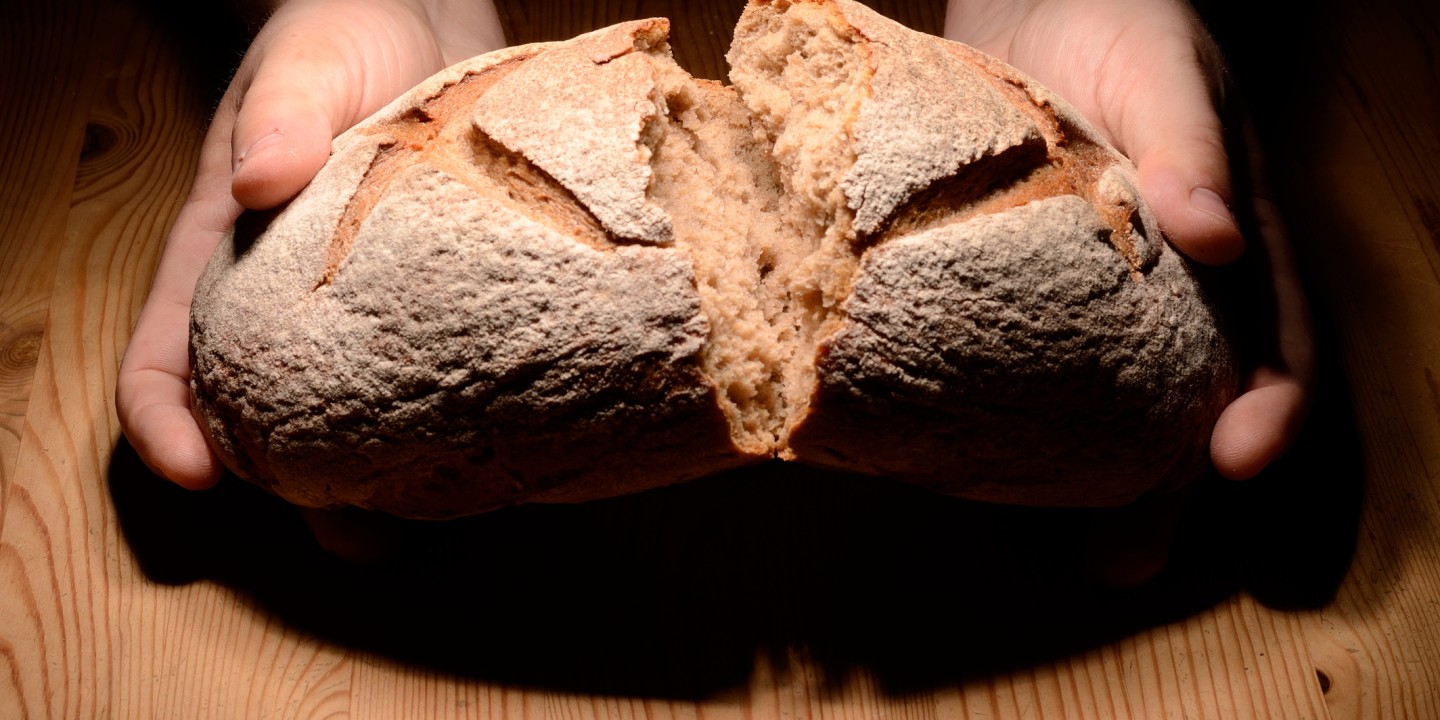 bread broken offered