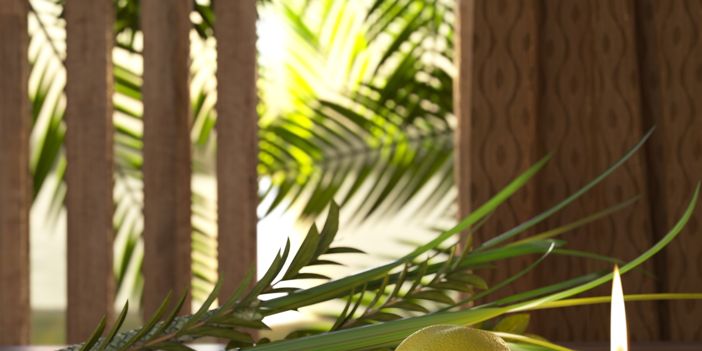 picture of sukkah with palm leaves for Sukkot