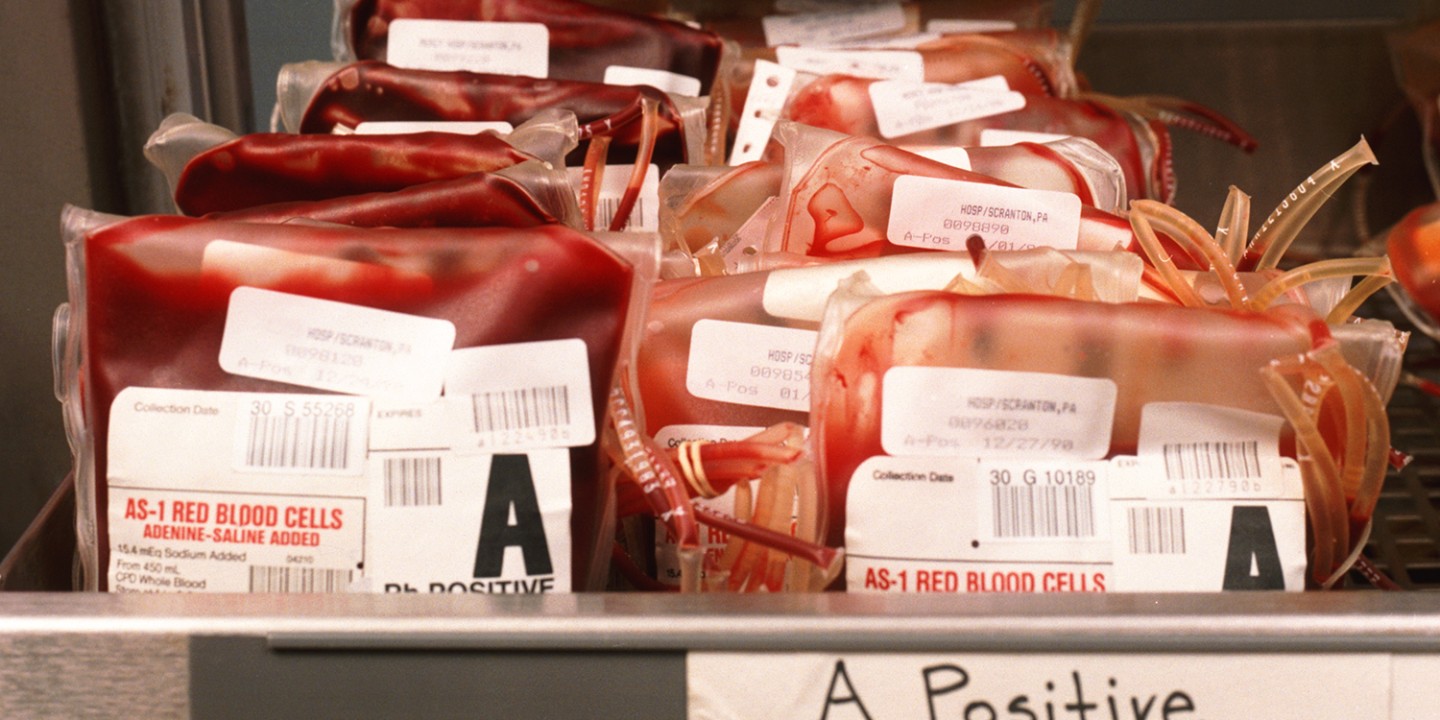 bags of blood