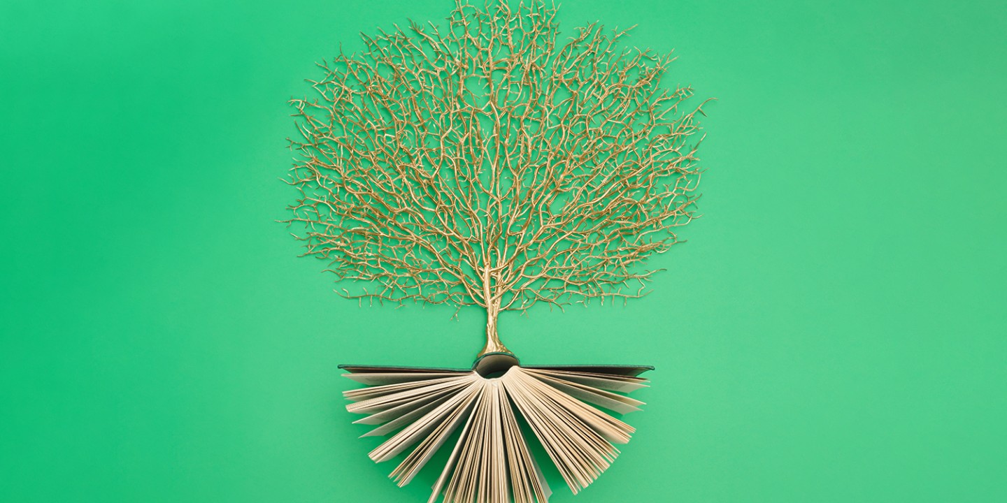 tree with an open book as the roots
