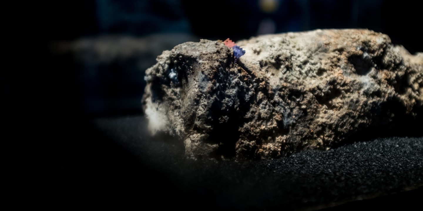 Fatberg at Museum of London