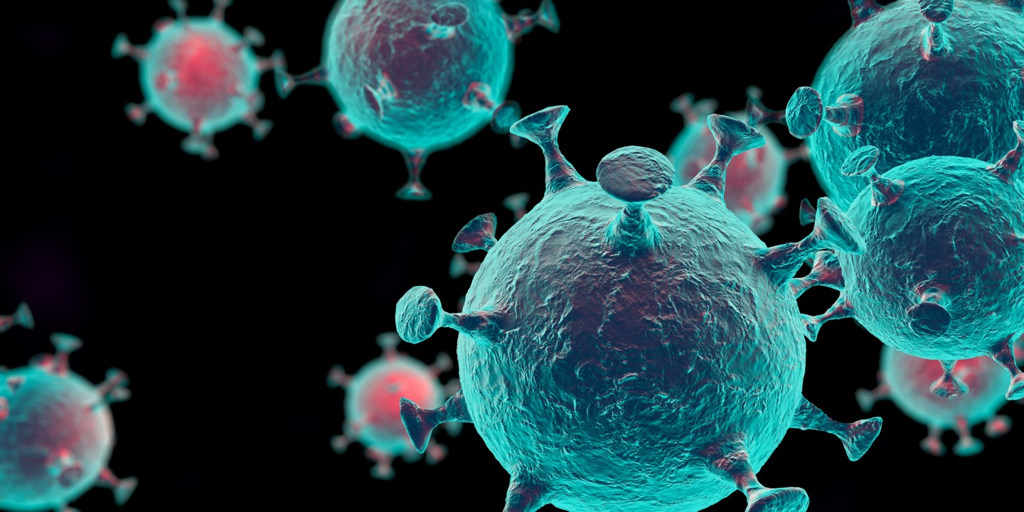 virus close up